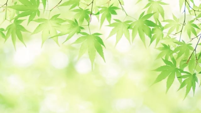 歯周病(歯槽膿漏)と漢方薬