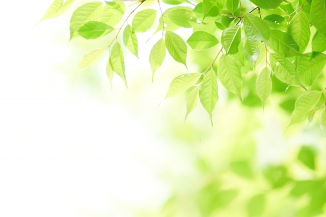 間質性膀胱炎に漢方薬